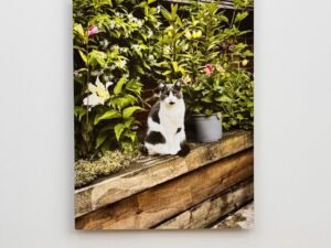 Custom Full HD Aluminium Prints