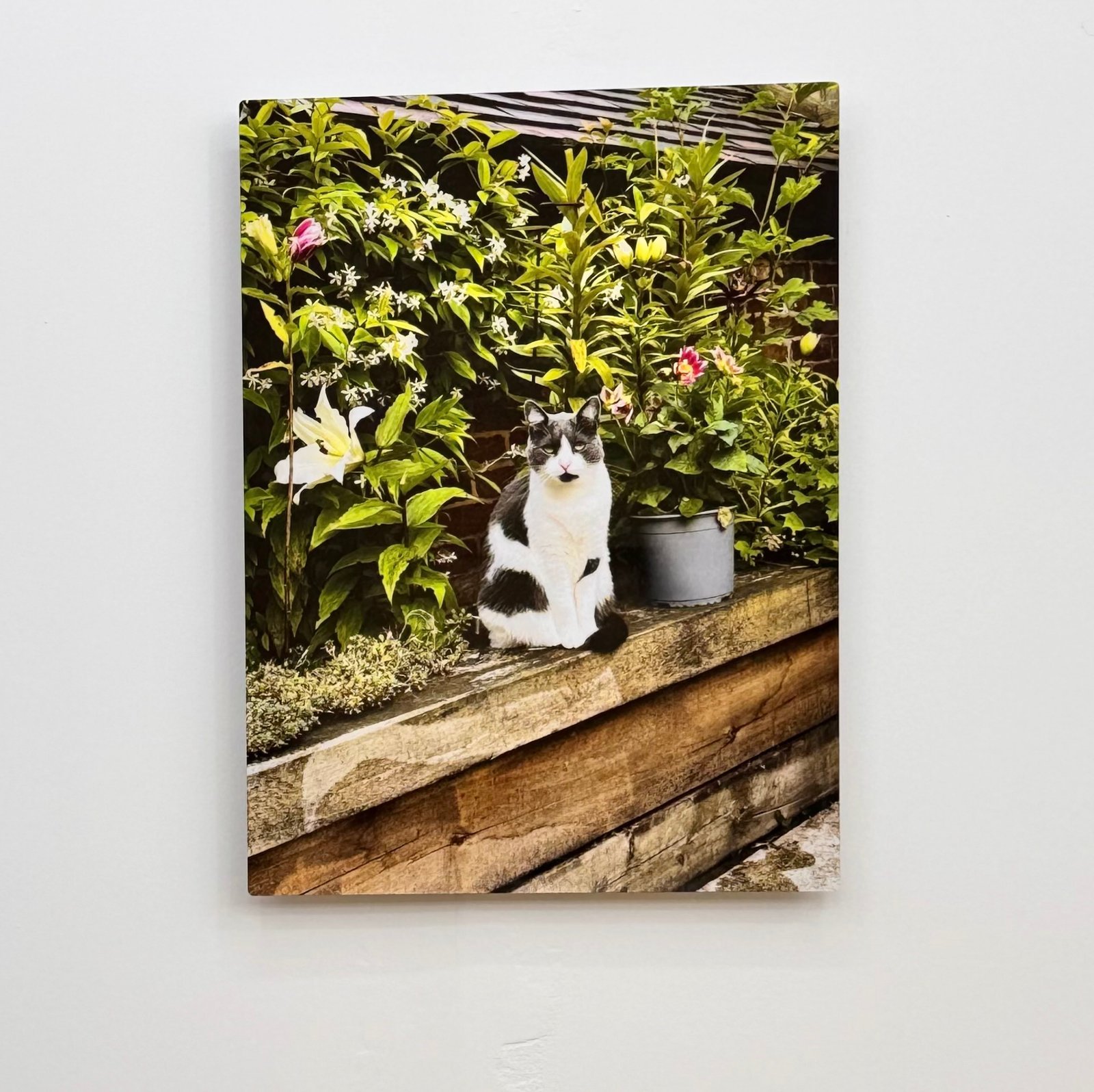 Custom Full HD Aluminium Prints