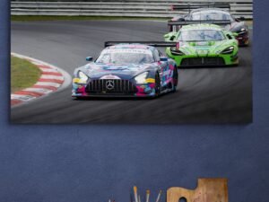 Ross Pavelin - Merc GT/MCLAREN