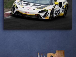 Ross Pavelin - Mclaren